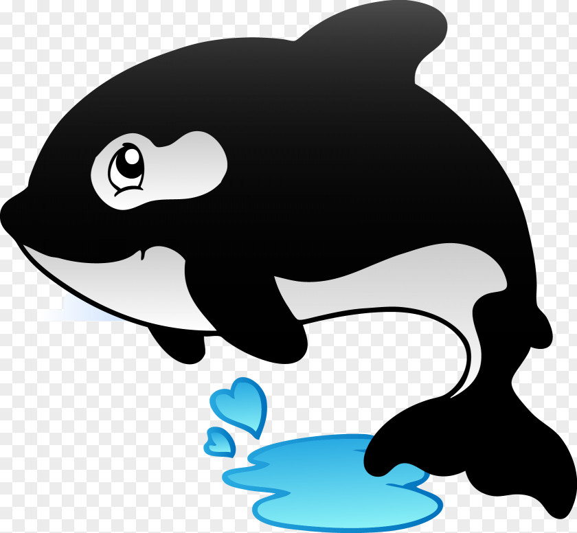 Vector Black And White Dolphins Killer Whale Birthday Cake Balloon PNG