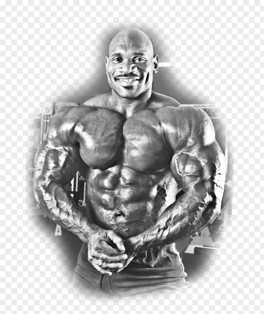 Above & Beyond Physiques Shoulder Service Bodybuilding PNG