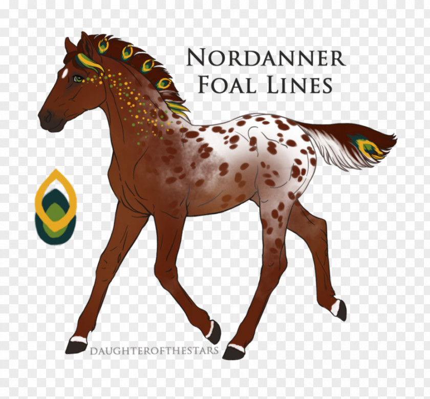 Chestnut Appaloosa Mustang Pony Foal Stallion Colt PNG