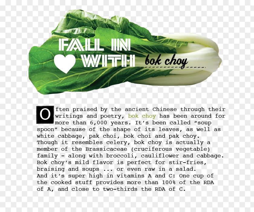 Design Leaf Vegetable Shoe PNG