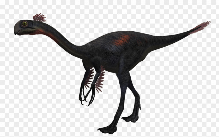 Gigantoraptor Citipati Oviraptorosauria Velociraptor Dinosaur PNG