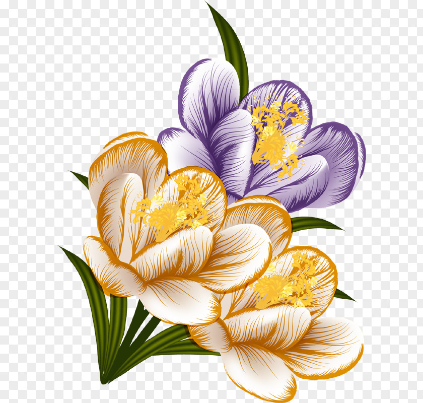 Crocus Bouquet Floral Design Flower Clip Art PNG