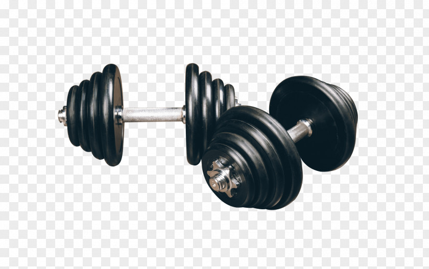 Fitness Barbell Dumbbell Weight Training Bodybuilding Centre PNG