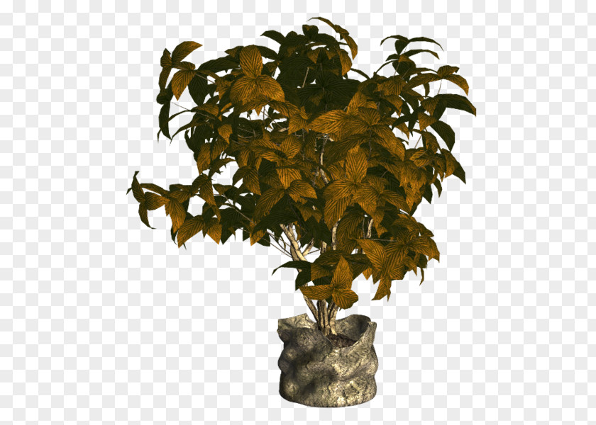 Flowerpot Houseplant Ornamental Plant Tree PNG