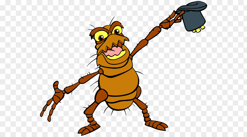 Insect Image Honey Bee Film Drawing PNG