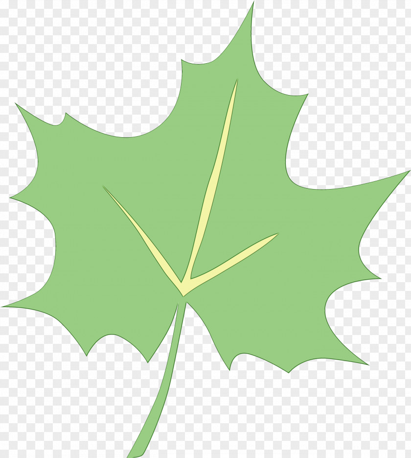 Maple Leaf PNG