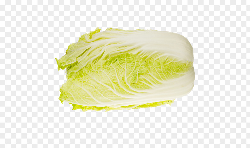 Chinese Cabbage Romaine Lettuce Napa Vegetable PNG