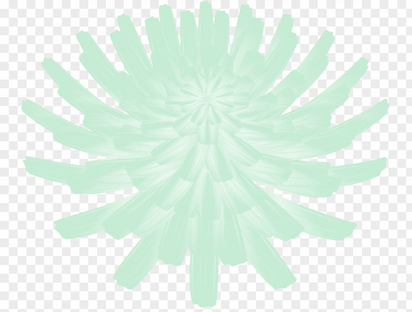 Flower Cut Flowers Chelone Petal Cartoon PNG