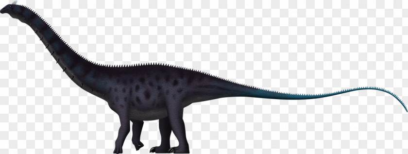 Jurassic Park Apatosaurus Brachiosaurus Brontosaurus Dinosaur Brachytrachelopan PNG