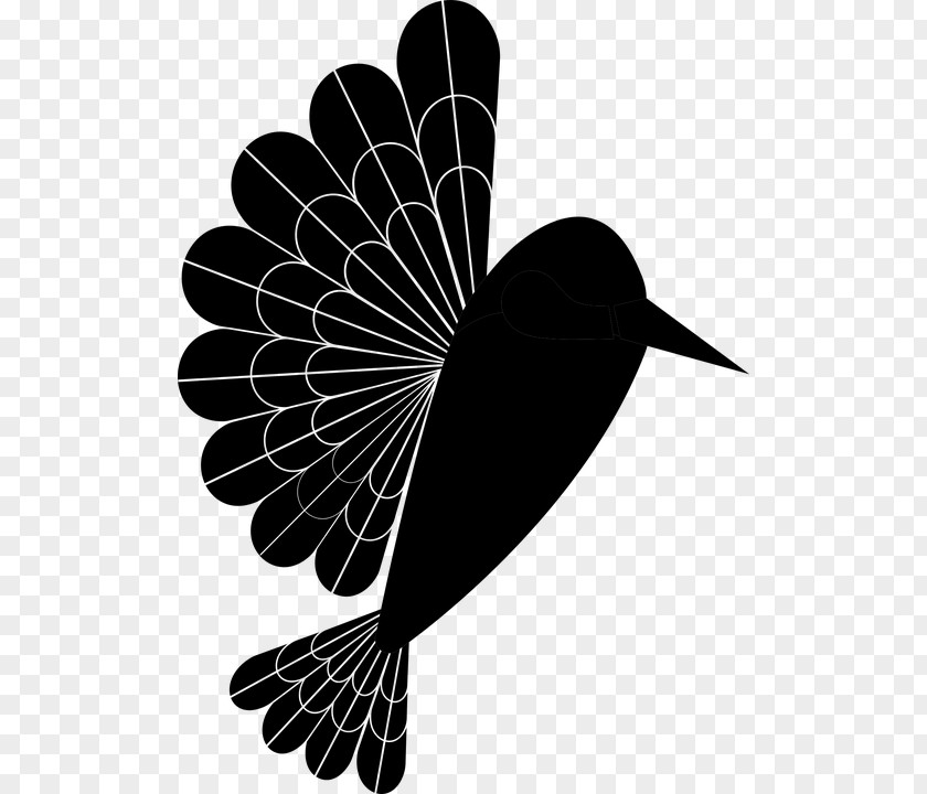 Plant Blackandwhite Bird Silhouette PNG