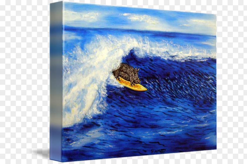 Pot Bellied Pig Water Resources Painting Sea Vietnamese Pot-bellied PNG