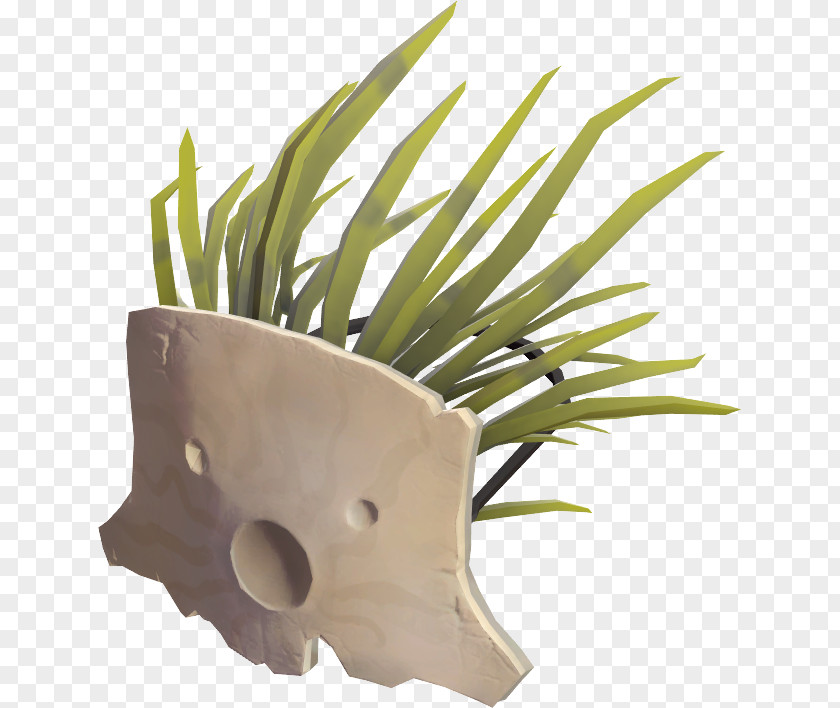 Design Flowerpot Grasses PNG