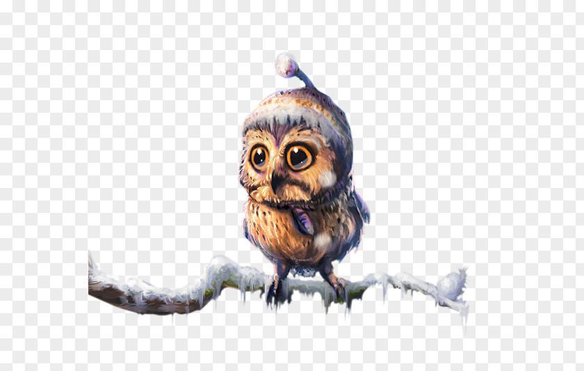 Hat Owl Little Drawing Watercolor Painting PNG