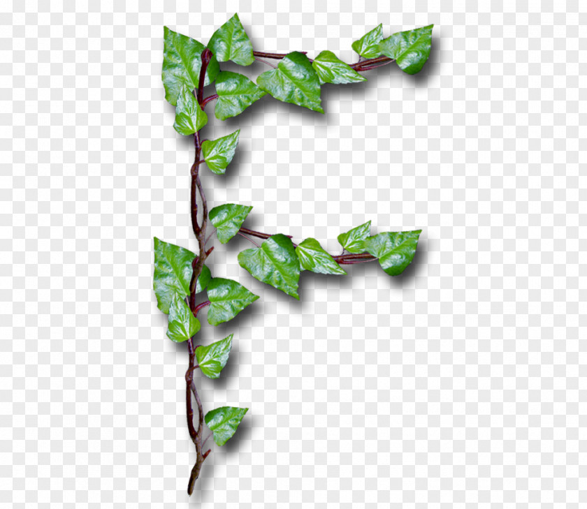 Ivy Chulalongkorn University HTML Span And Div Alphabet Letter PNG