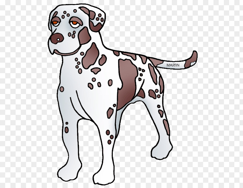 Puppy Dalmatian Dog Breed Catahoula Cur American Leopard Hound PNG