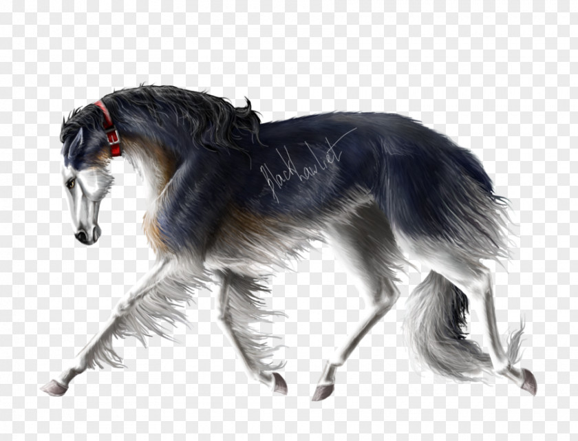 Saluki Borzoi Silken Windhound Irish Wolfhound Greyhound PNG