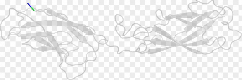 Design White Sketch PNG