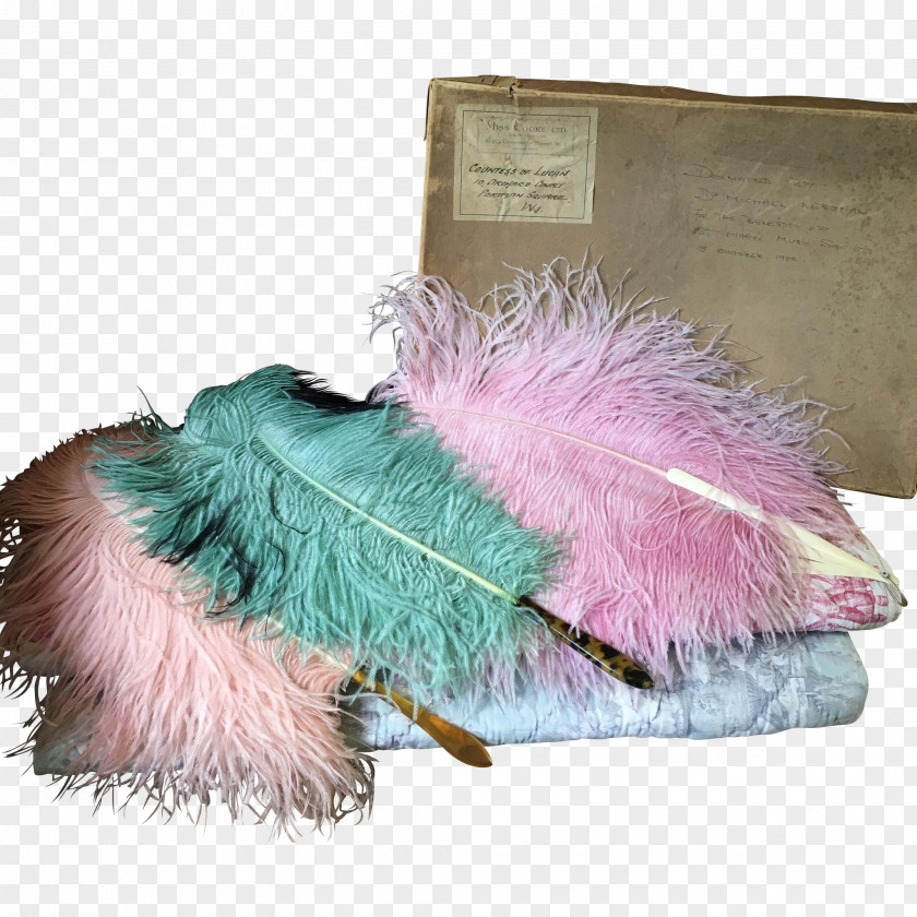 Feather Boa Shawl Pink M Fur PNG