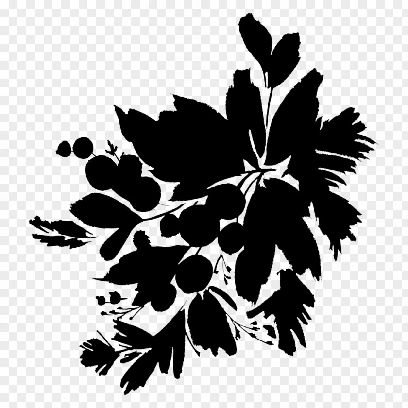 Flowering Plant Font Silhouette Leaf PNG