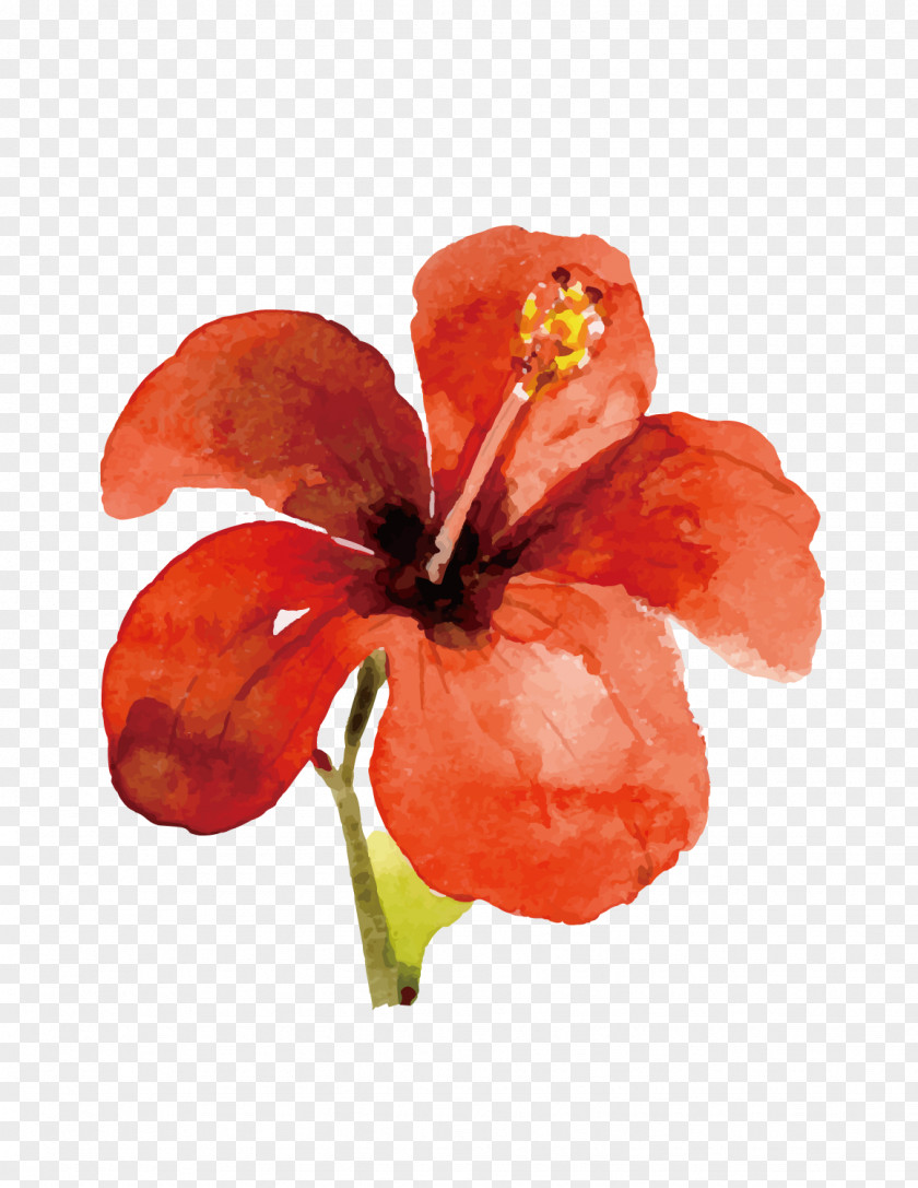 Hand-painted Large Red Flower Download PNG