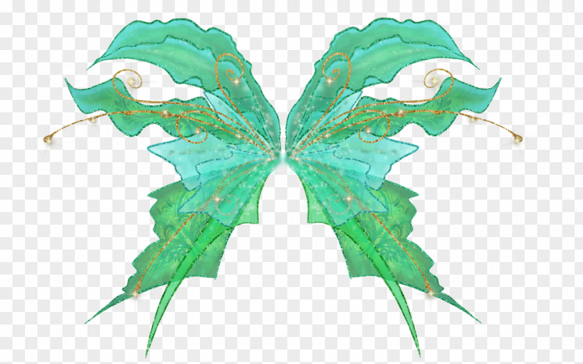Leaf Moth Symmetry Tree PNG