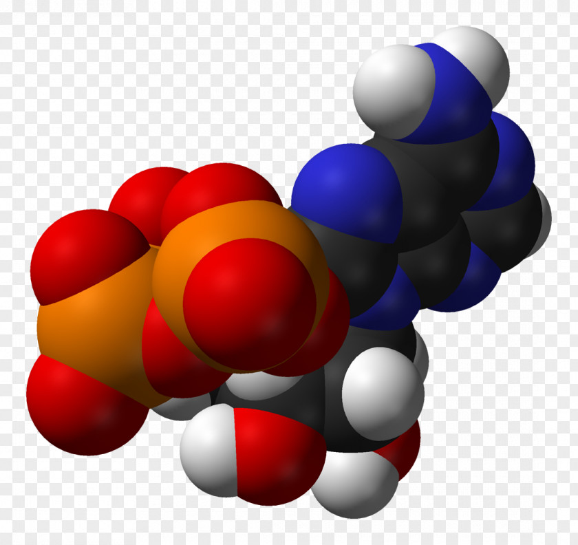 Molecule Adenosine Triphosphate Glycolysis Cell PNG