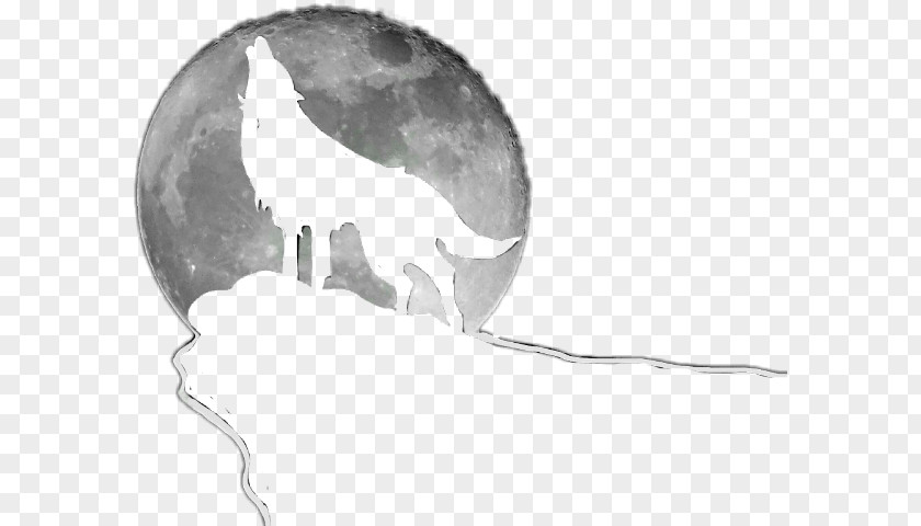Moon Cartoon Full Wolf Image PNG