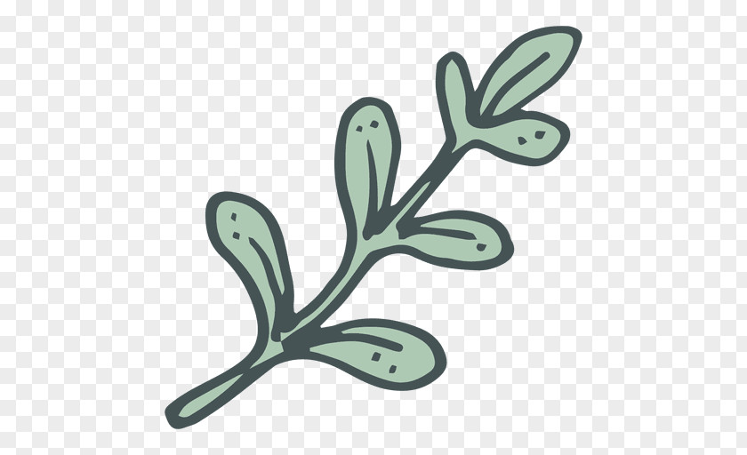 Olive Branch Drawing Clip Art PNG