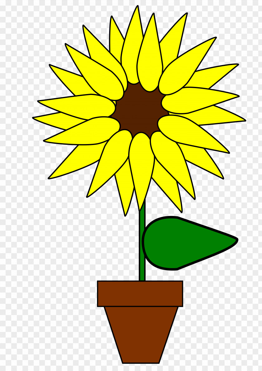 Openclipart.org Common Sunflower Clip Art PNG