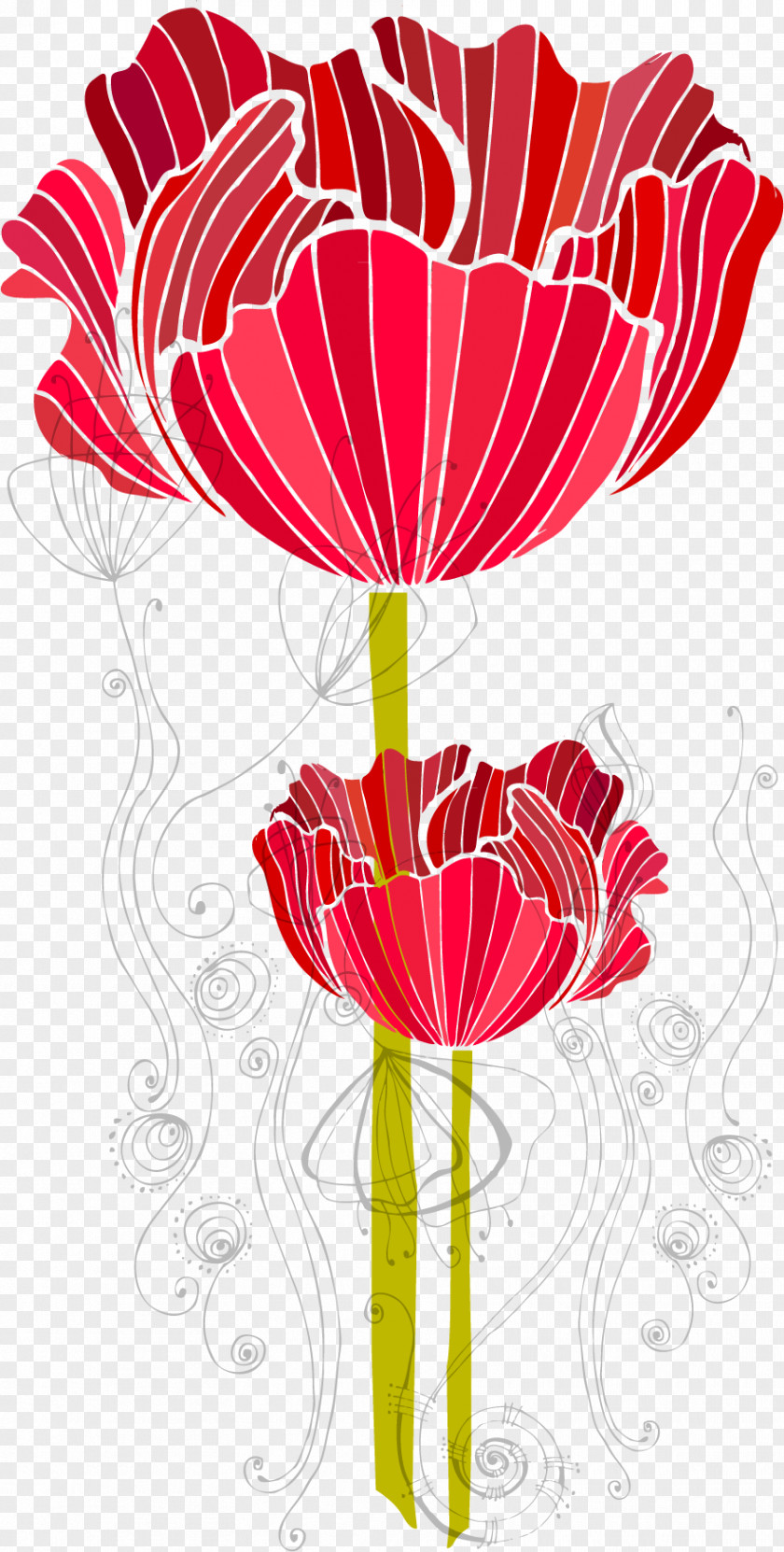 Vector Flower Poppy PNG