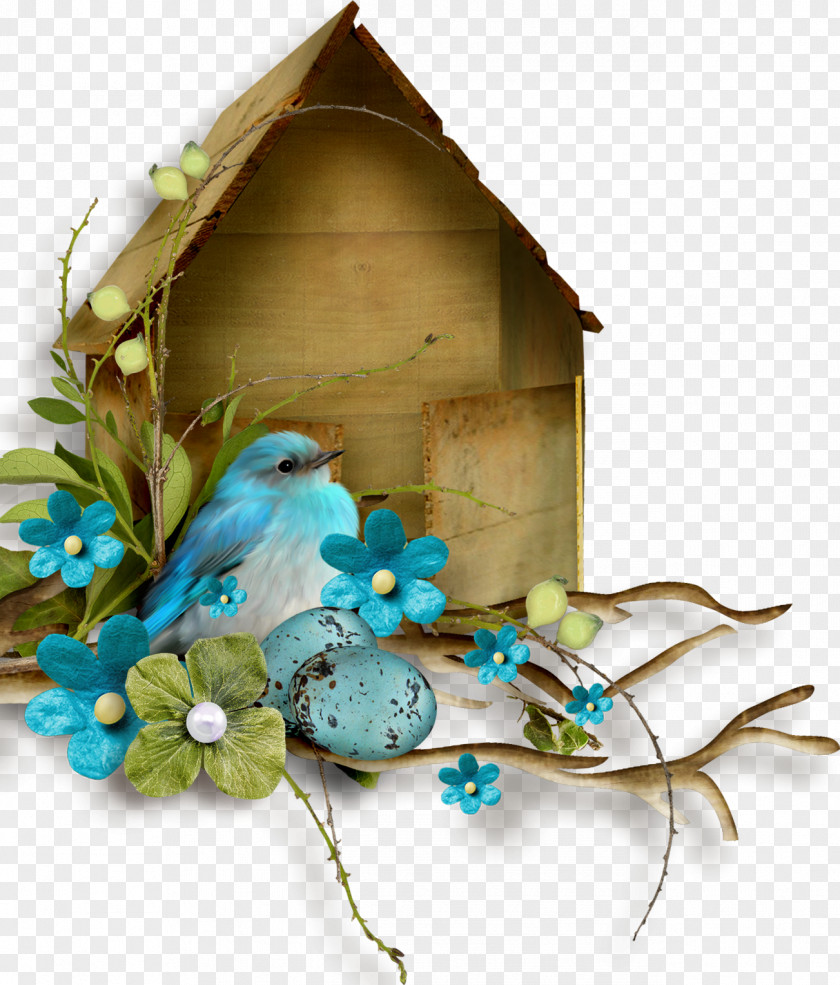 Bird Green Blue Color Flower PNG