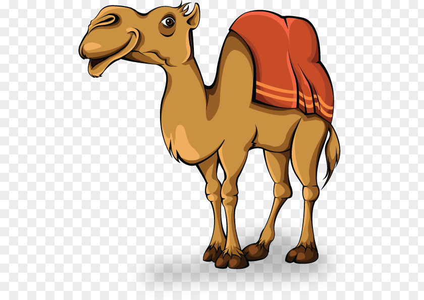 Camel Animation Clip Art PNG