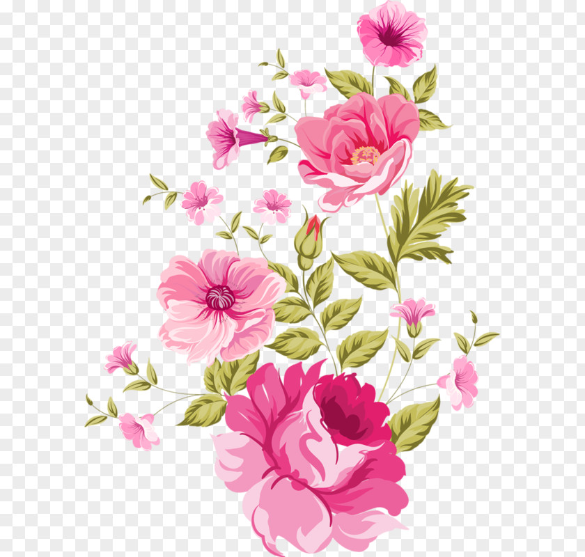 Peony Clip Art PNG