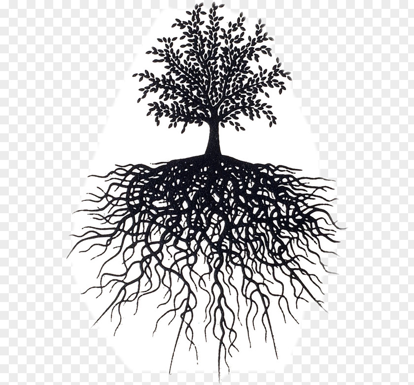 Tree Reading The Allegorical Intertext Life Design Editorial Root PNG