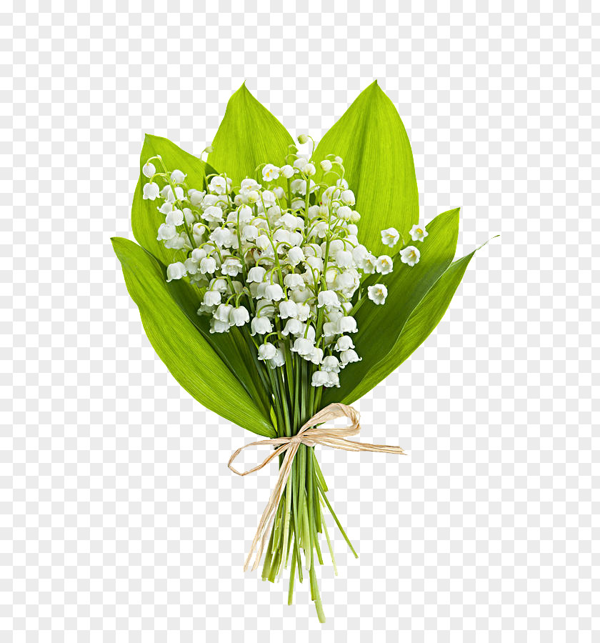 White Flower Bouquet Lily Of The Valley Stock Photography Clip Art PNG