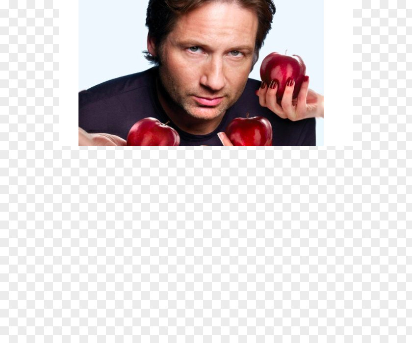 Addiction David Duchovny Californication Hank Moody Television Show Soundtrack PNG