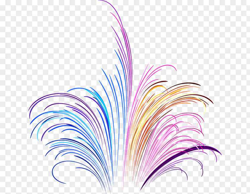 Cool Fireworks Feather Illustration PNG