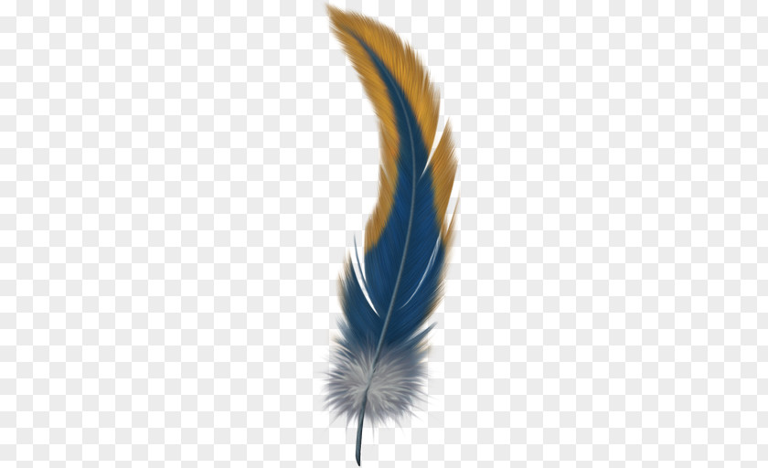Feather Bird Clip Art PNG