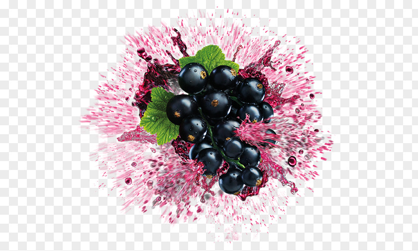 Grape Zante Currant Bilberry Blueberry Huckleberry PNG