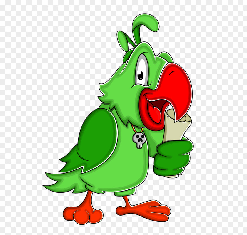 Parrot Albom Clip Art PNG