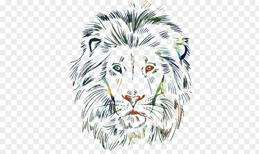 Tiger Lion Whiskers Cat Illustration PNG