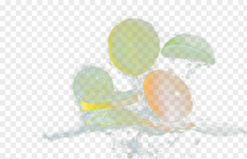 Water And Lemon Slices Egg Desktop Wallpaper Sky PNG