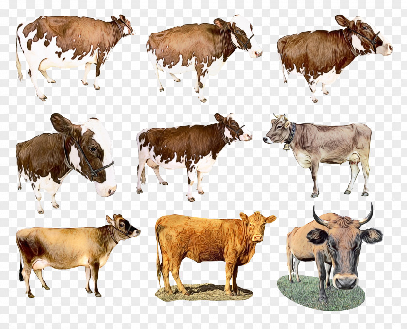 Animal Figure Bull Cow Background PNG