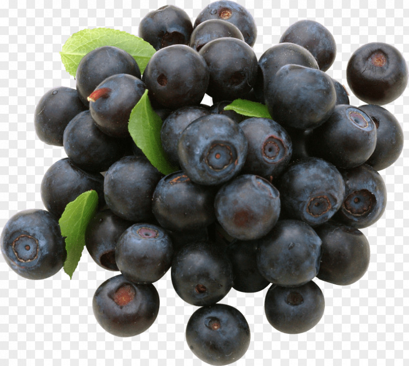 Blueberry Bilberry Huckleberry Cranberry PNG