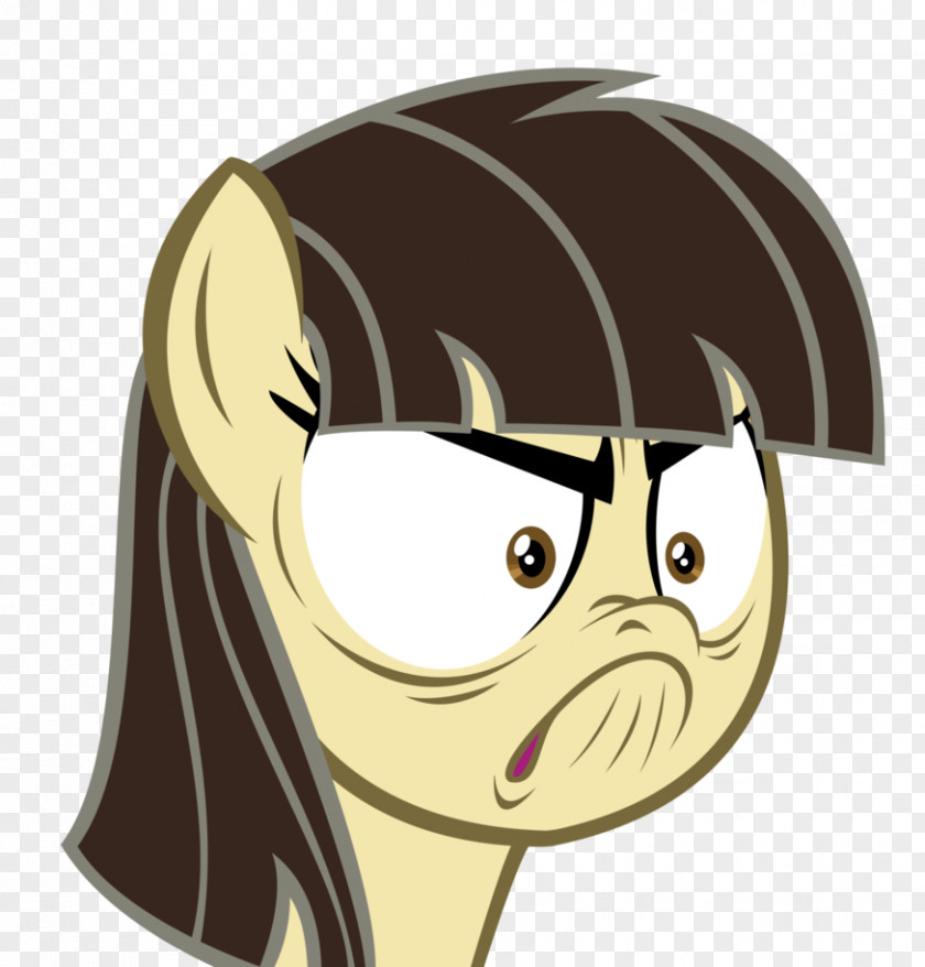 Cat Mammal Eye Glasses Horse PNG