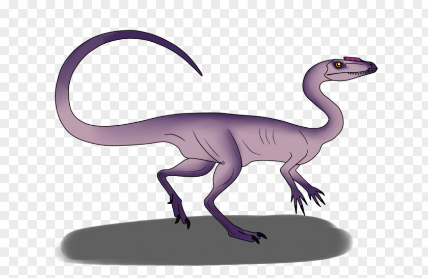 Dinosaur Coelophysis Kayentakatae Dilophosaurus Velociraptor Rhodesiensis PNG