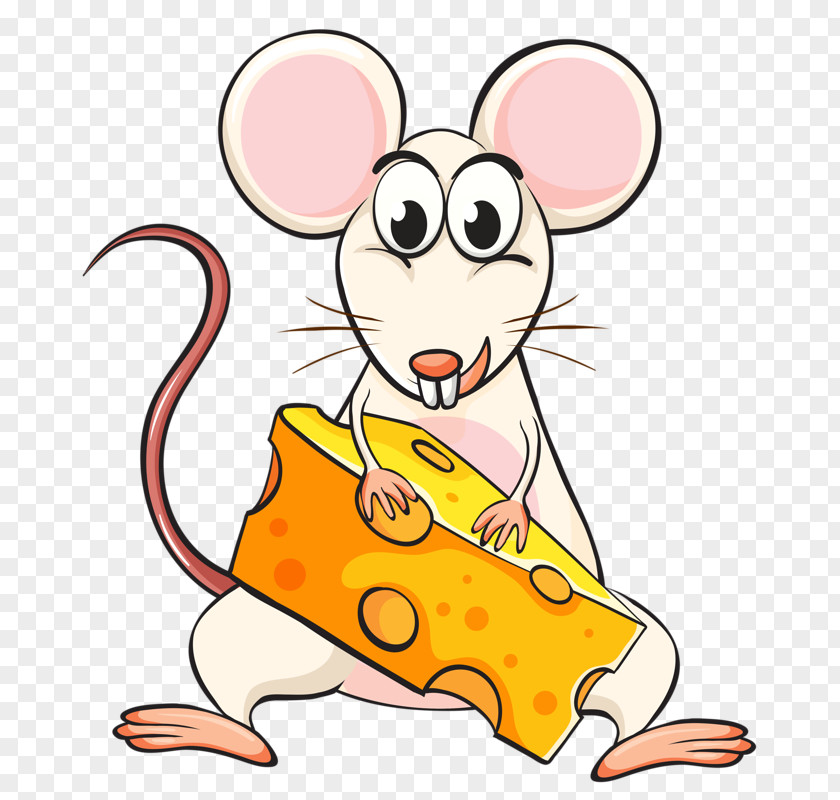 Eating Rat Mouse Cheese Clip Art PNG