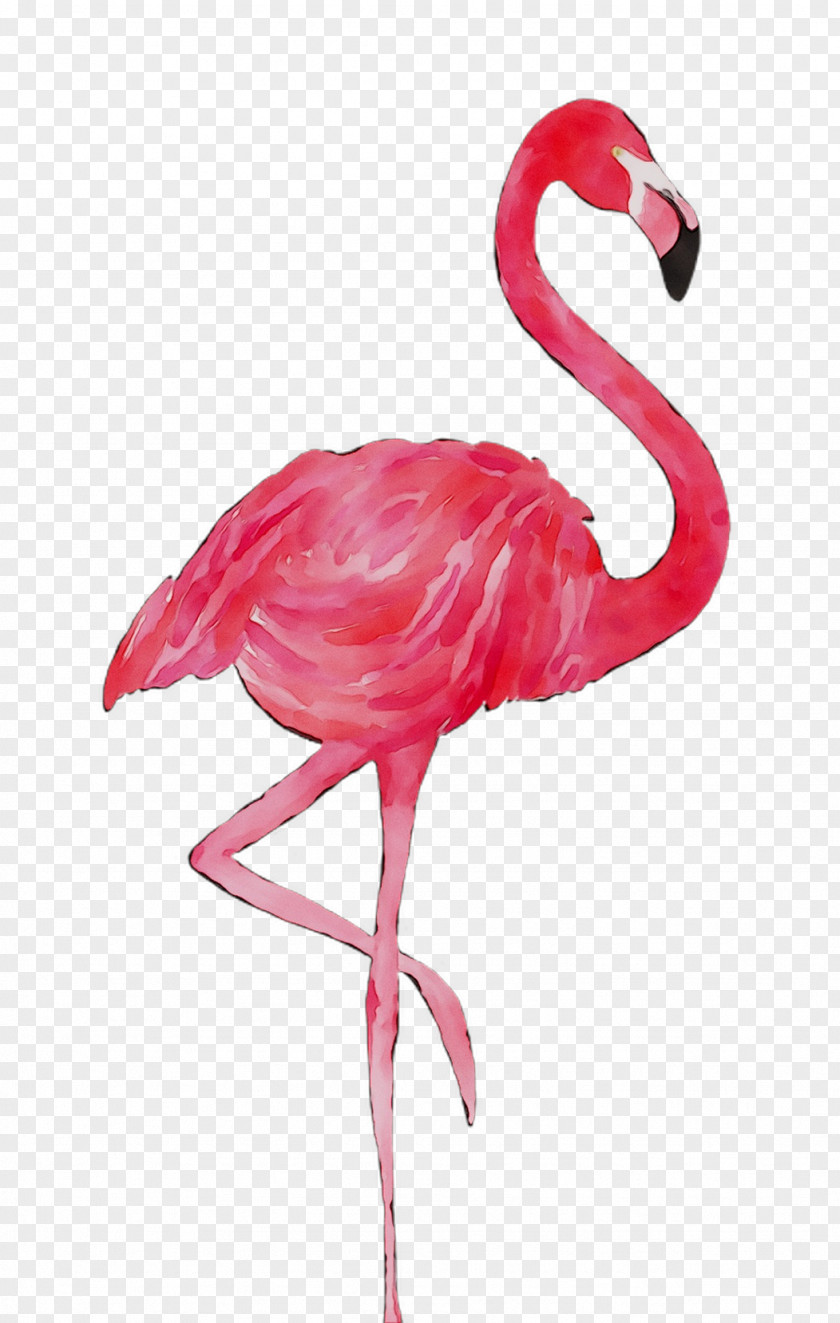 Flamingo T-Shirt Top PNG