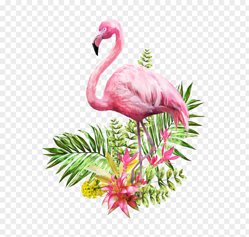 Flamingo Watercolor Painting Vector Graphics Poster Illustration PNG