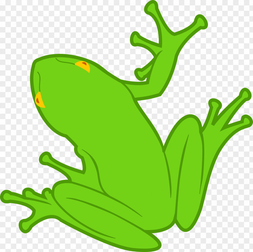 Frog Amphibian Clip Art PNG